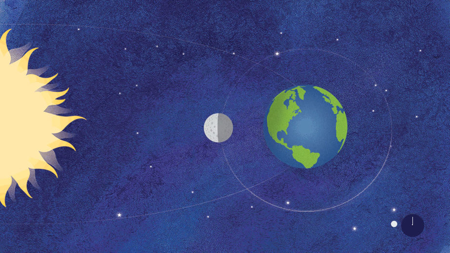 timeline luna animation